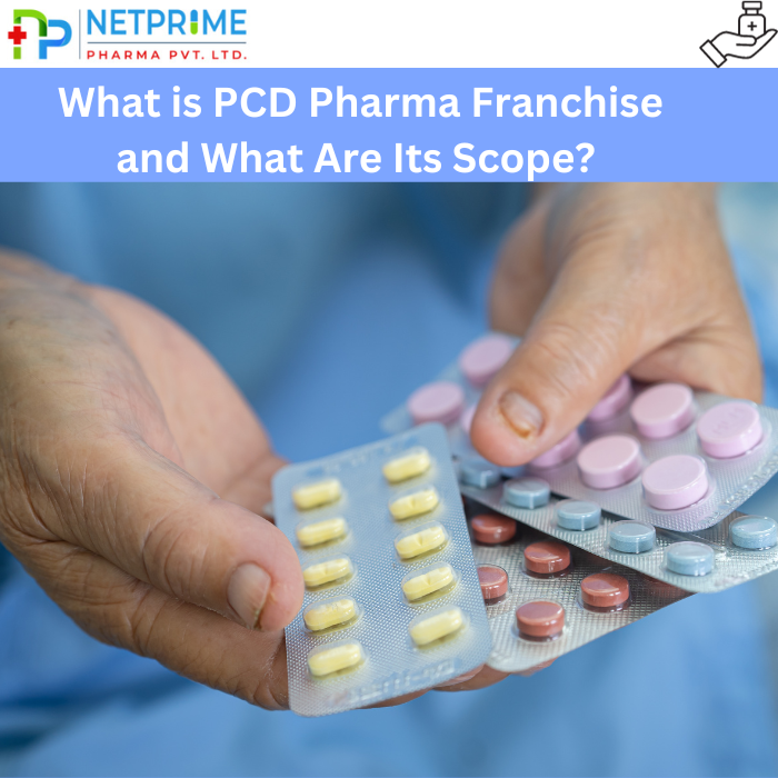 What is PCD Pharma Franchise and What Are Its Scope? 